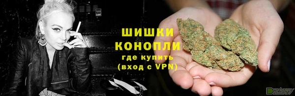 шишки Бугульма