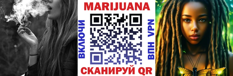 Бошки Шишки планчик  Купить закладки  Иннополис 