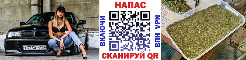 Бошки Шишки марихуана Иннополис